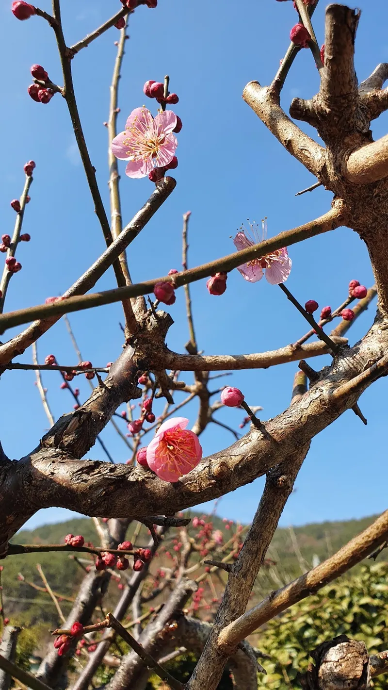 [경남 통영] 원룸 한달살기  A 11