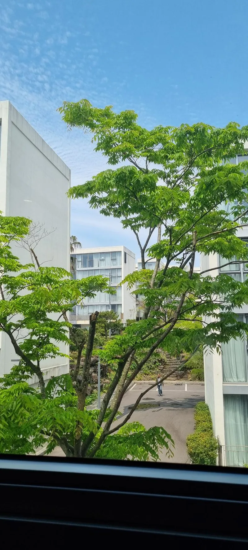 [서귀포 토평동] ♡호텔식 통창유리 가성비좋은 모던한숙소T2 29