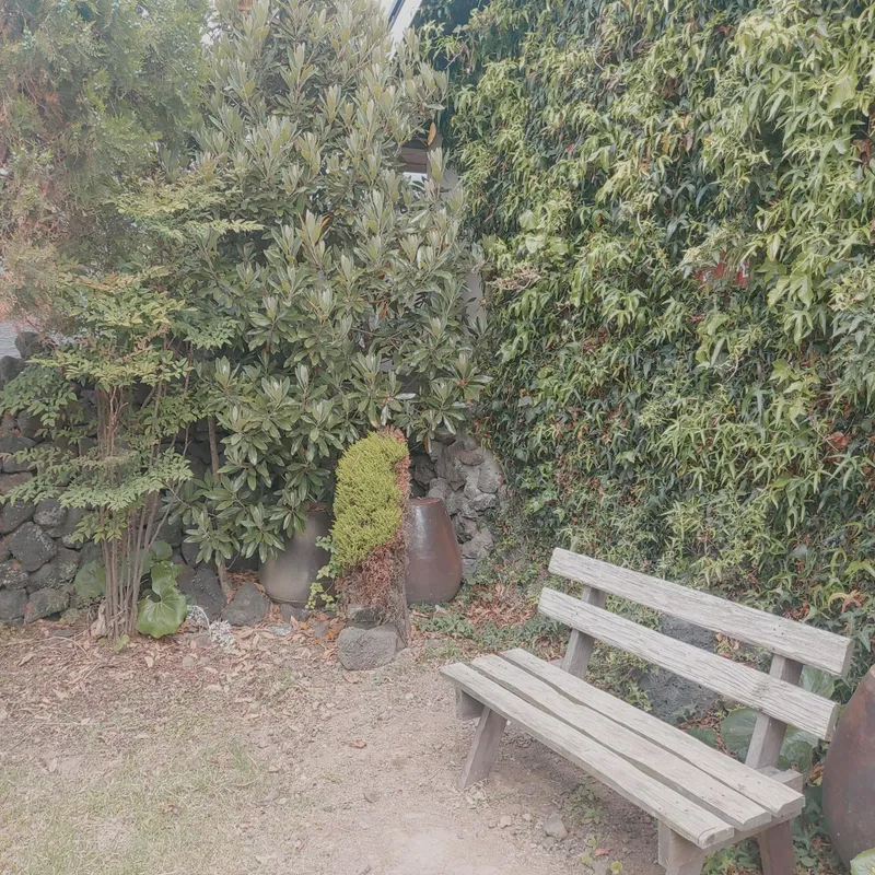 [Hallim, Jeju][Jeju Geumneung] Exotic two-room detached house A in a coastal village 15