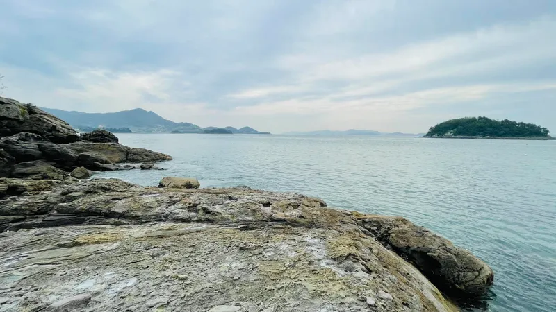 [경남 남해] 애견동반이 가능한 남해오션뷰 A-102 8