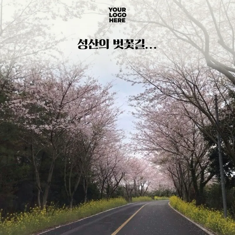 [Seongsan, Seogwipo] Stay 302 near Sinyangseopji Beach, Seogwipo City 21