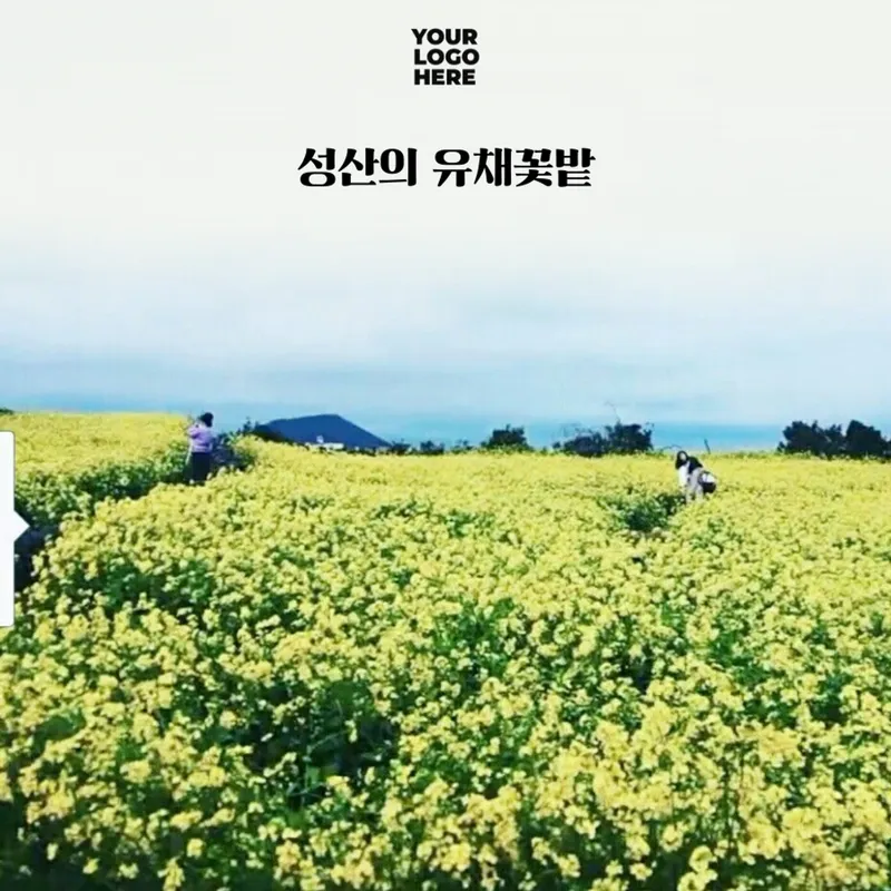 [Seongsan, Seogwipo] Stay 302 near Sinyangseopji Beach, Seogwipo City 20