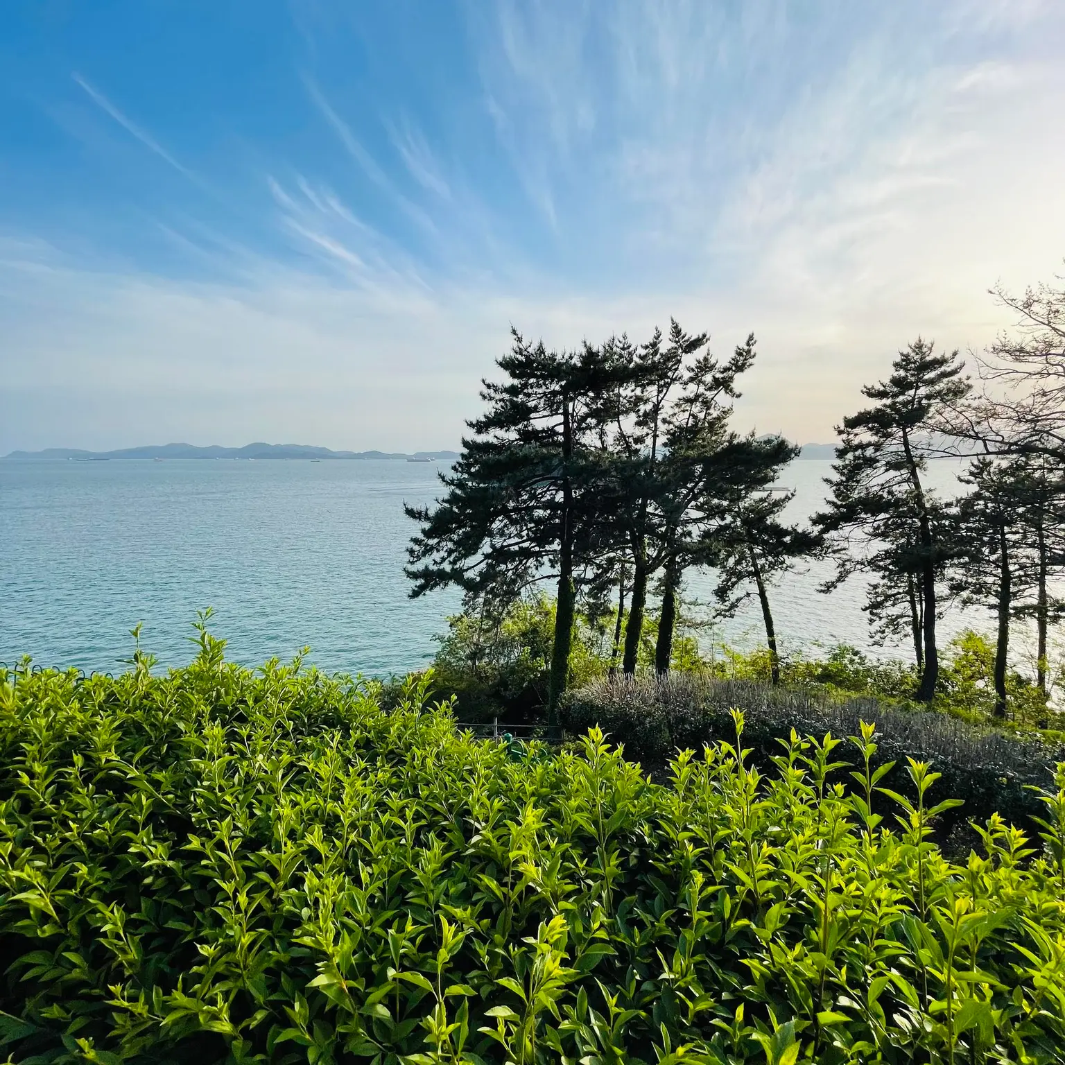 경남 남해 애견동반이 가능한 남해오션뷰 A-102 - main image