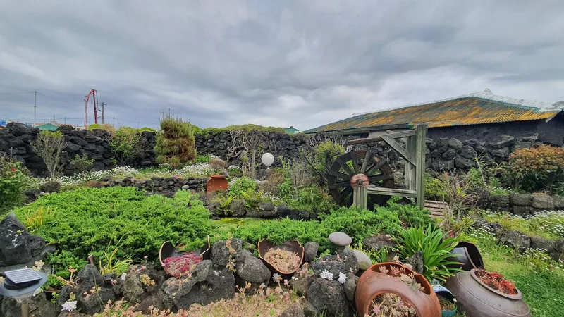 [Hangyeong, Jeju][Jeju Panpo] In front of Panpo Port, a quiet and pretty traditional stone house (Sarangchae, Dokchae) 13