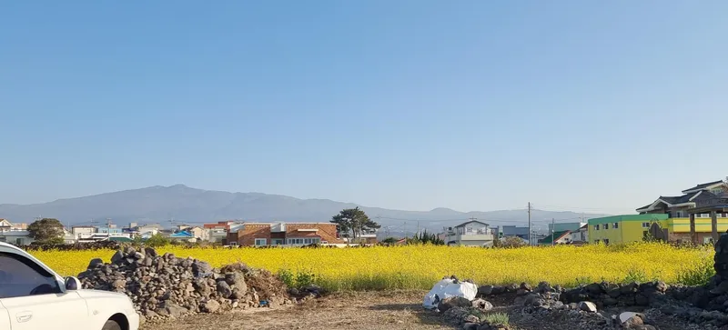 [제주 내도동] 도보30초 바닷가 마당독채/올레17코스/해안산책,조깅/노을맛집 15