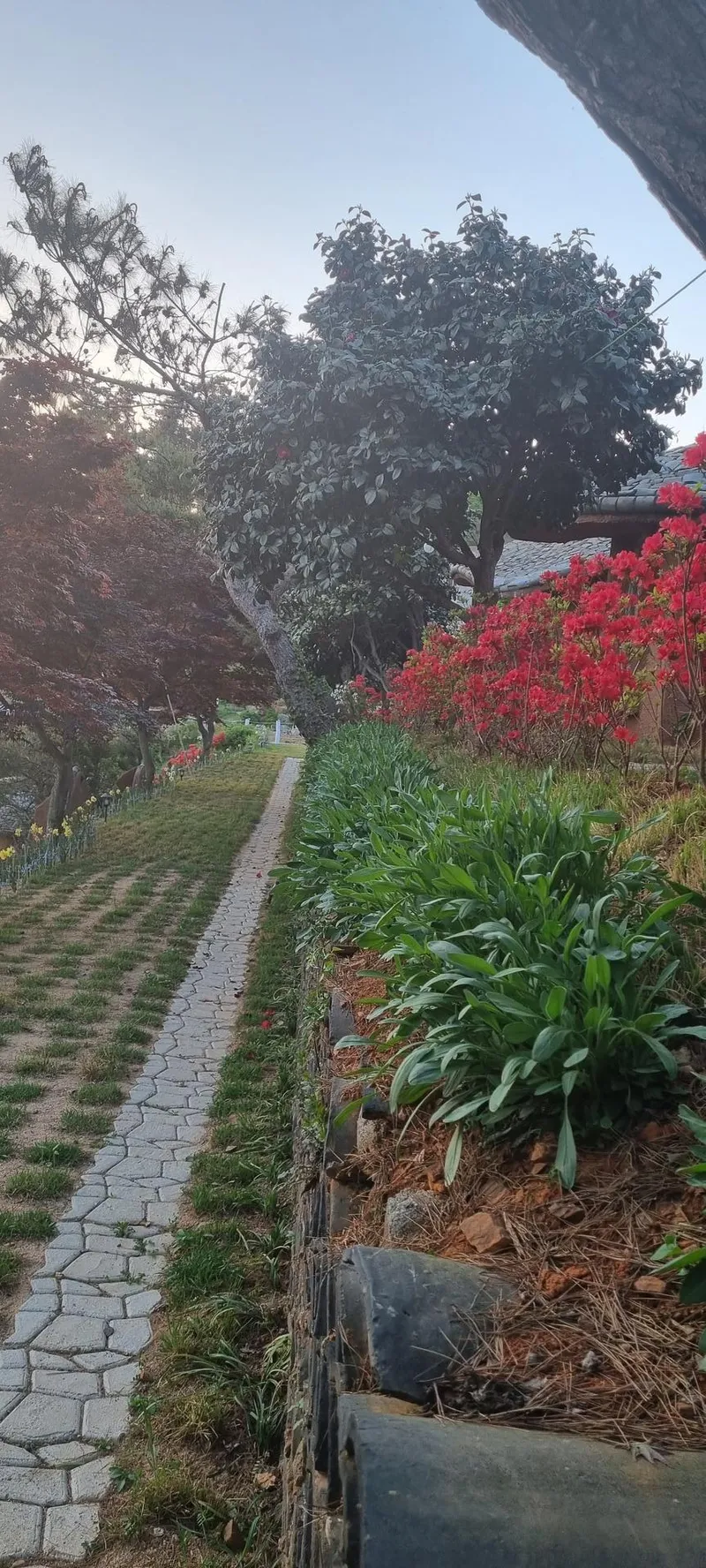 [충남 서산] 충남 서산에서 즐기는 시골라이프 #황토집 #힐링 #대형견가능 15