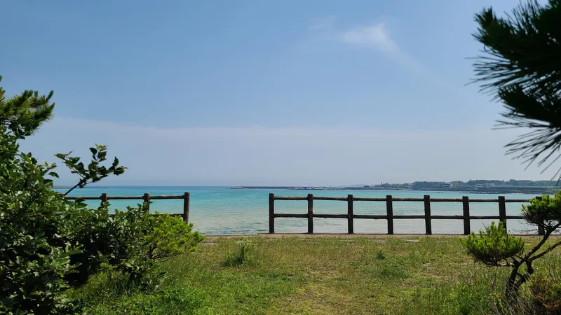 [Seongsan, Seogwipo][Seogwipo Private House] Farmhouse near the beach in Seongsan Seopjikoji Village 21