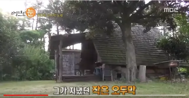 [제주 애월] 나뭇잎 사이로 (통나무집) 16
