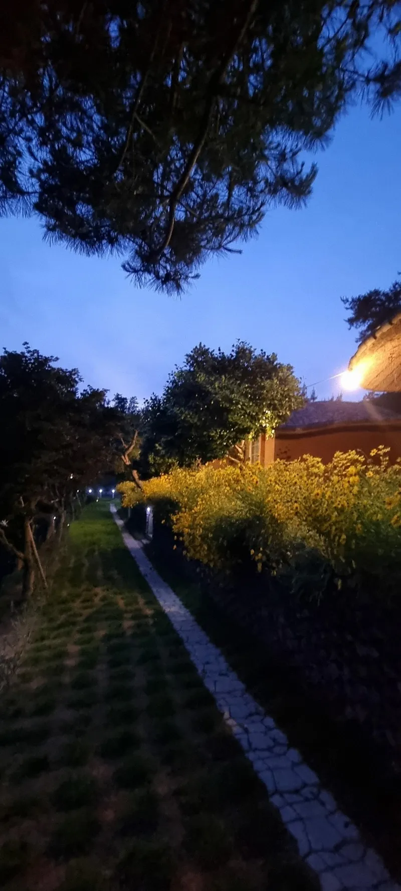 [충남 서산] 충남 서산에서 즐기는 시골라이프 #황토집 #힐링 #대형견가능 22