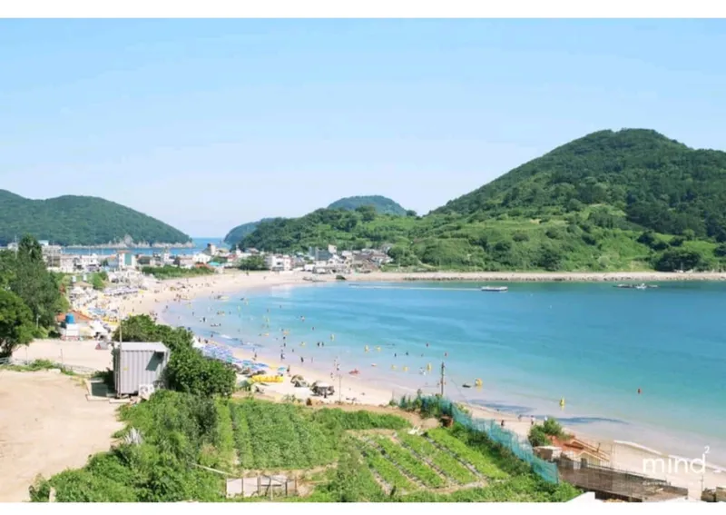 [경남 거제] 거제도 탁트인바다와 노을을 즐길 수 있는 힐링스테이C 34