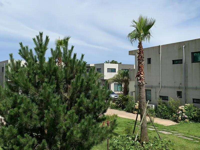 [Pyoseon, Seogwipo] 15 pyeong main building with a view of the botanical garden and pet-friendly 8