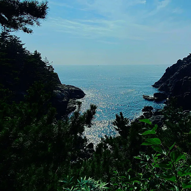 [Yangyang][Yangyang Surf Beach Hajodae] Ocean view apartment, emotional accommodation good for a month-long stay 34