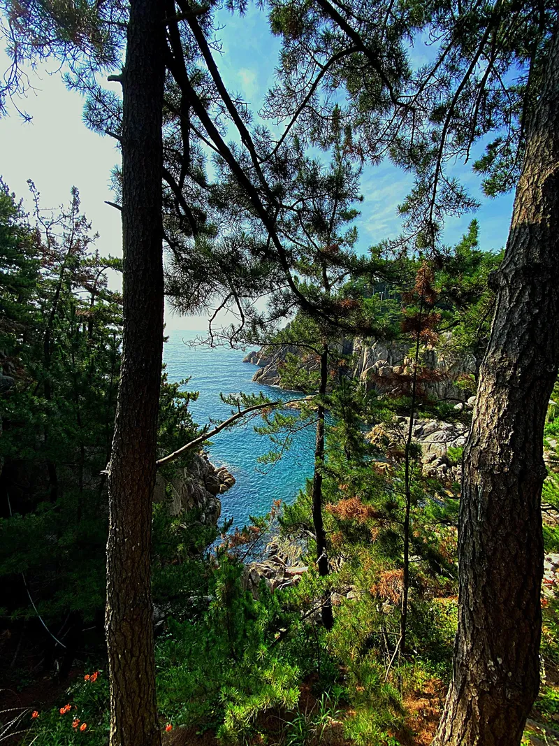 [Yangyang][Yangyang Surf Beach Hajodae] Ocean view apartment, emotional accommodation good for a month-long stay 27