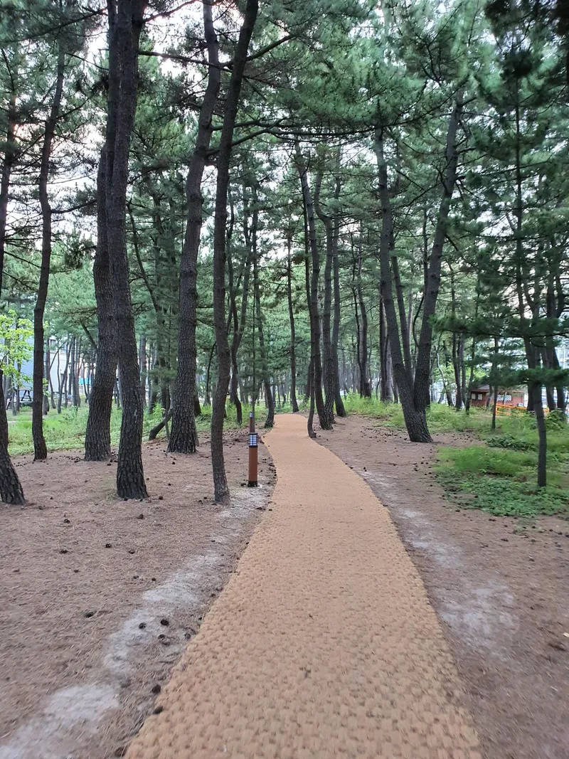 [Sokcho] Near the sea/1 minute from the beach/Cooking possible/Residence/Good place to live in Sokcho 12