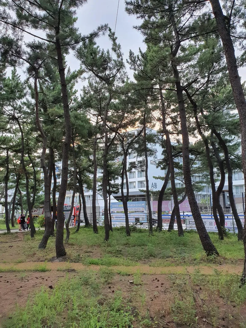 [Sokcho] Near the sea/1 minute from the beach/Cooking possible/Residence/Good place to live in Sokcho 20