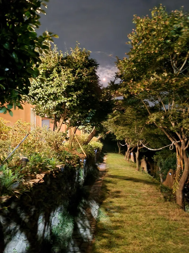 [충남 서산] 반려견과 시골라이프를 즐길 수 있는 황토독채 (원룸) #대형견가능 29