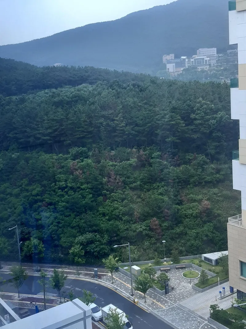 [인천 영종][영종 운서] 공항이 가까운 프라이빗 원룸 25