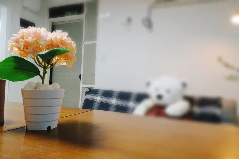 [Mapo, Seoul] 2-story three-room detached house with terrace in Hongdae #Pets allowed 29