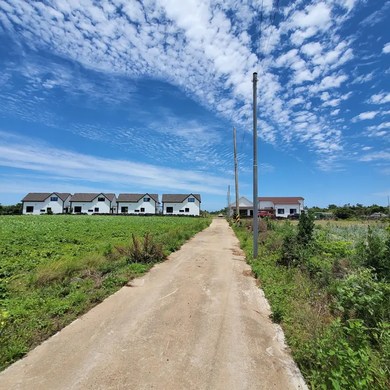 [Gujwa, Jeju] Duplex Separated One Room Field View #Far Sea View A 61