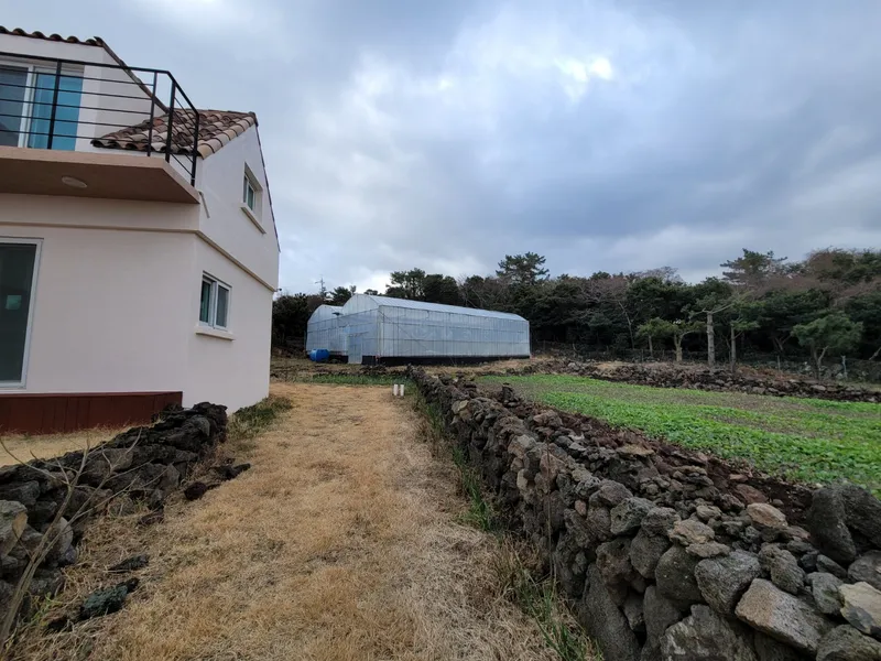 [제주 구좌] 비자림산책로 복층원룸 독채 #비자림도보2분 #재택근무A12 56