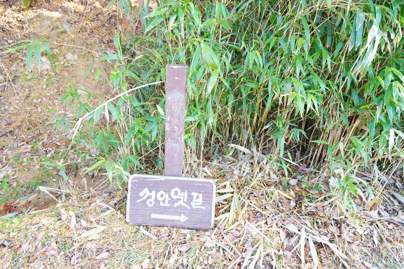 [울산 중구] 마운틴뷰 22평 아파트 19