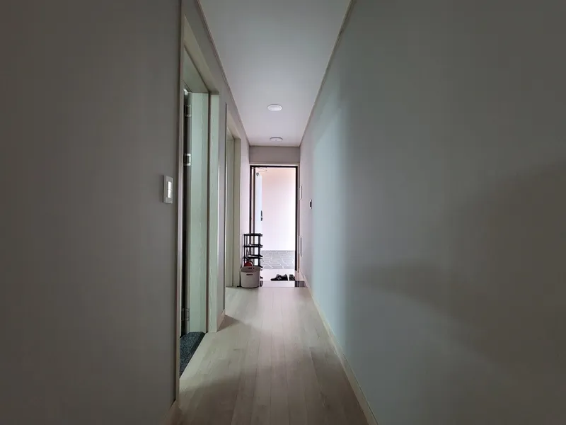 [제주 구좌] 비자림산책로1.5룸 독채 #비자림도보2분 #재택근무가능B22 39
