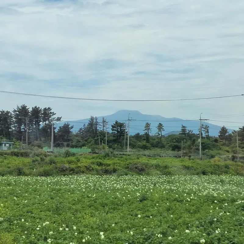 [제주 구좌] 복층분리형원룸 밭뷰 #먼바다#밭뷰#돌담뷰#한라산뷰뷰 B 45