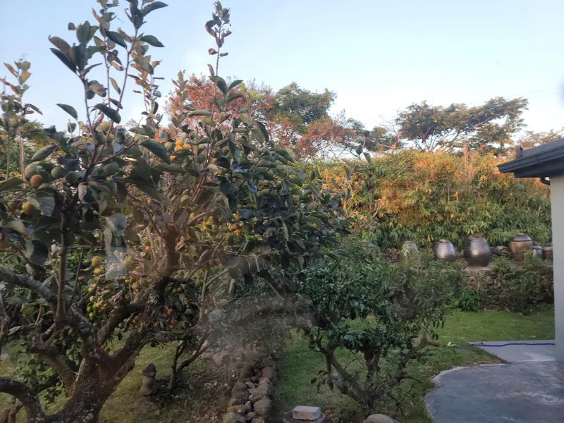 [Aewol, Jeju] A country night embraced by Jeju stone walls, find true rest in a warm jacuzzi #PrivateVillaFullyOptioned 27