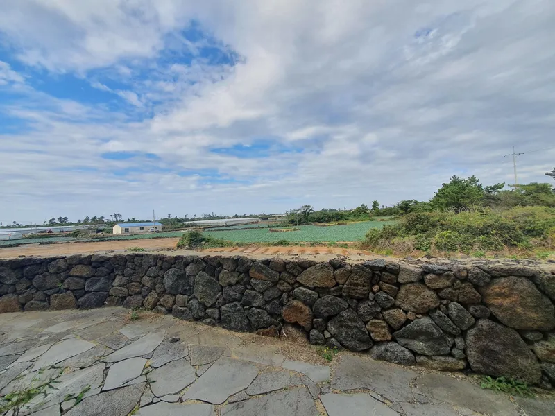 [Hangyeong, Jeju] European-style private accommodation (swimming pool available from the second week of June to September) 47