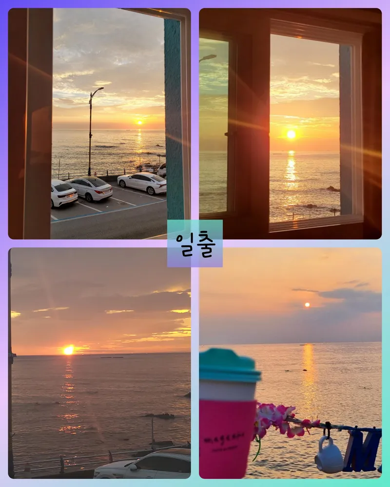 [강원 동해] 오션뷰 원룸#묵호#어달항 #통창오션뷰201 9
