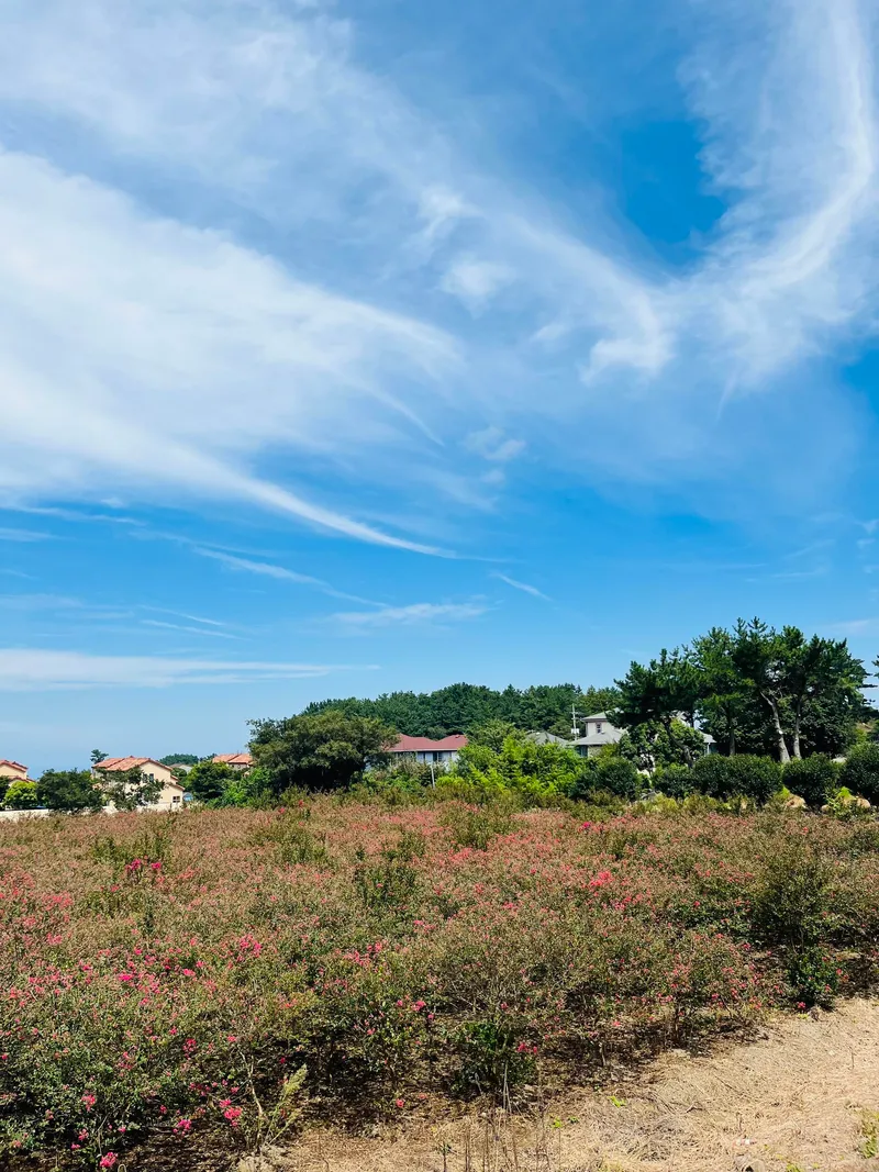 [Aewol, Jeju] Private House_2nd Floor Loft_Camping Table_3 Beds_Atmospheric Accommodation 88