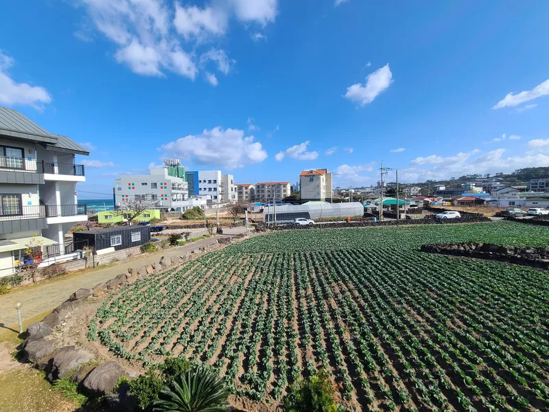 [Aewol, Jeju][Jeju Aewol 202] 1 minute walk from Gwakji Beach #Accessibility #Clean #Cozy #Warm 10
