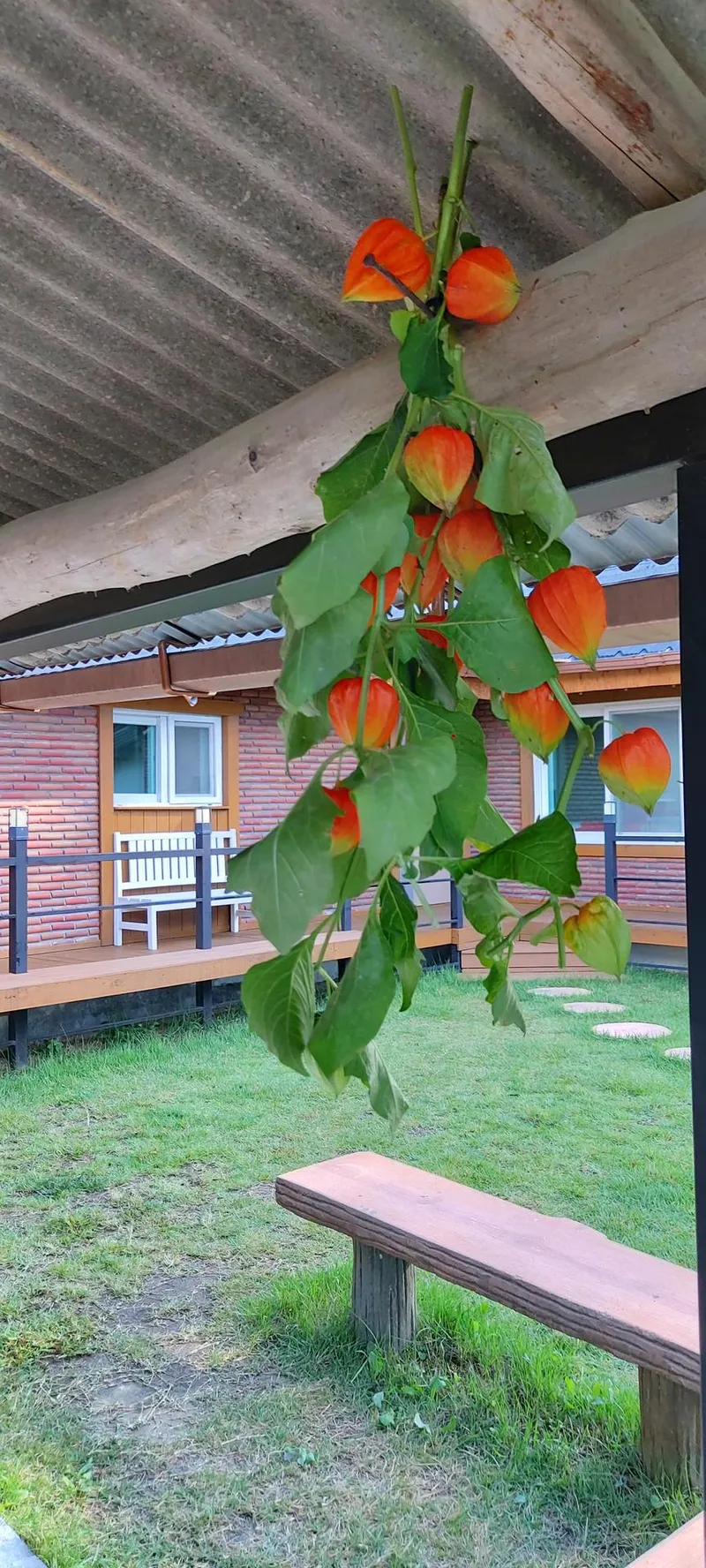 [Yangpyeong] Yangpyeong Sunny’s House Lawn Yard Camping Feeling Independent House 22
