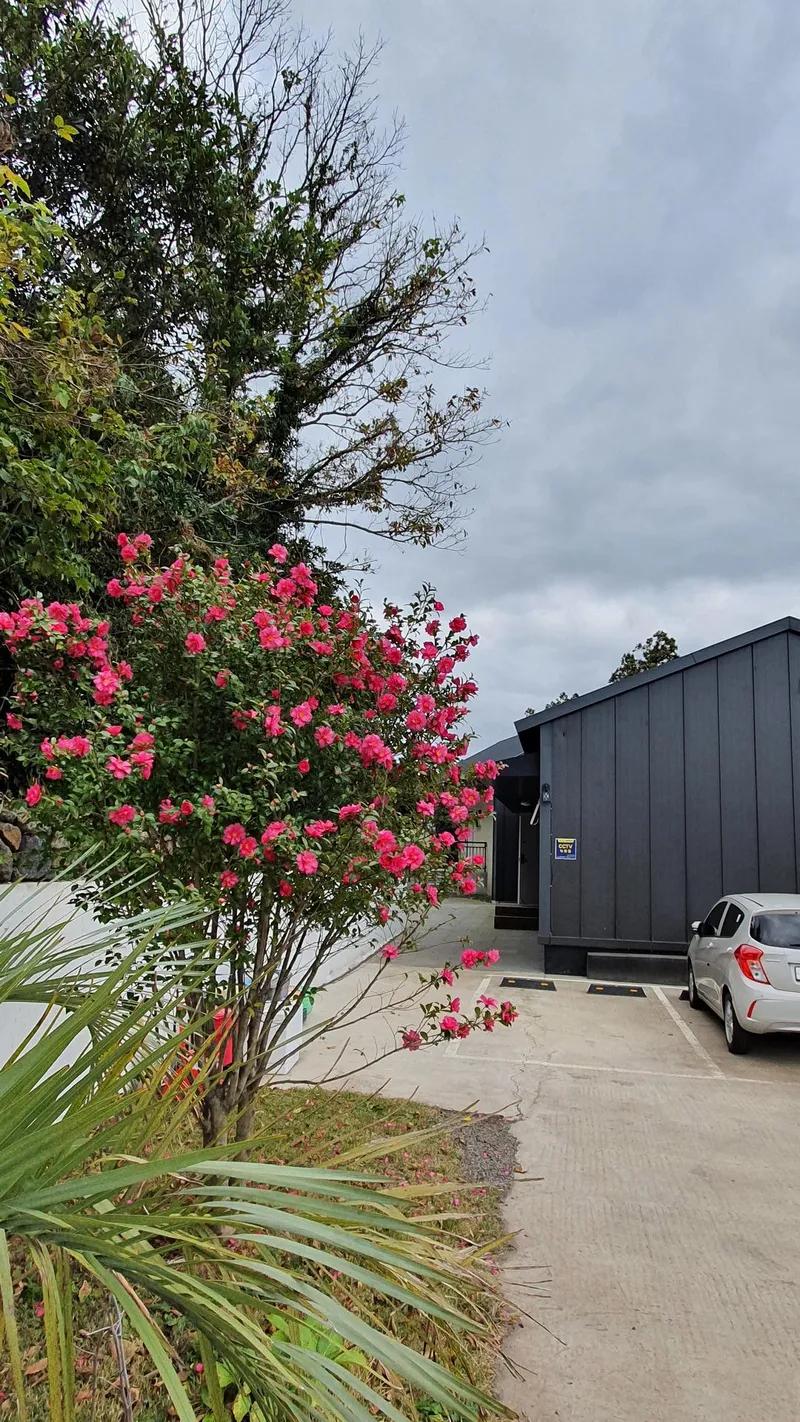 [Hangyeong, Jeju] Cozy stone wall two-room detached house with tangerine field view 45