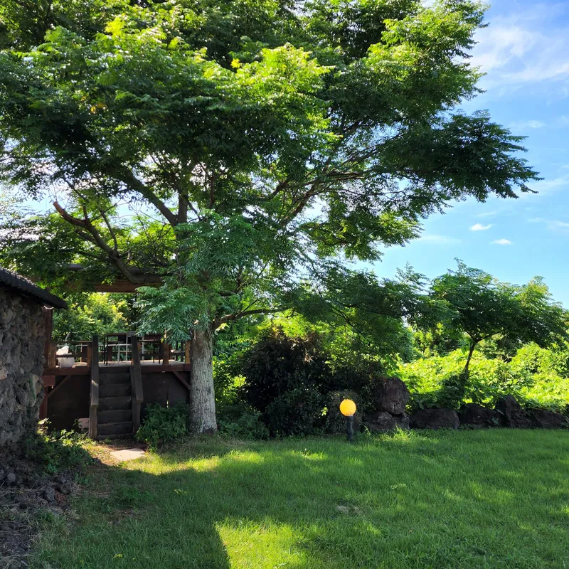 [제주 조천] 잔디마당이 있는 애견동반가능 감성돌집 21