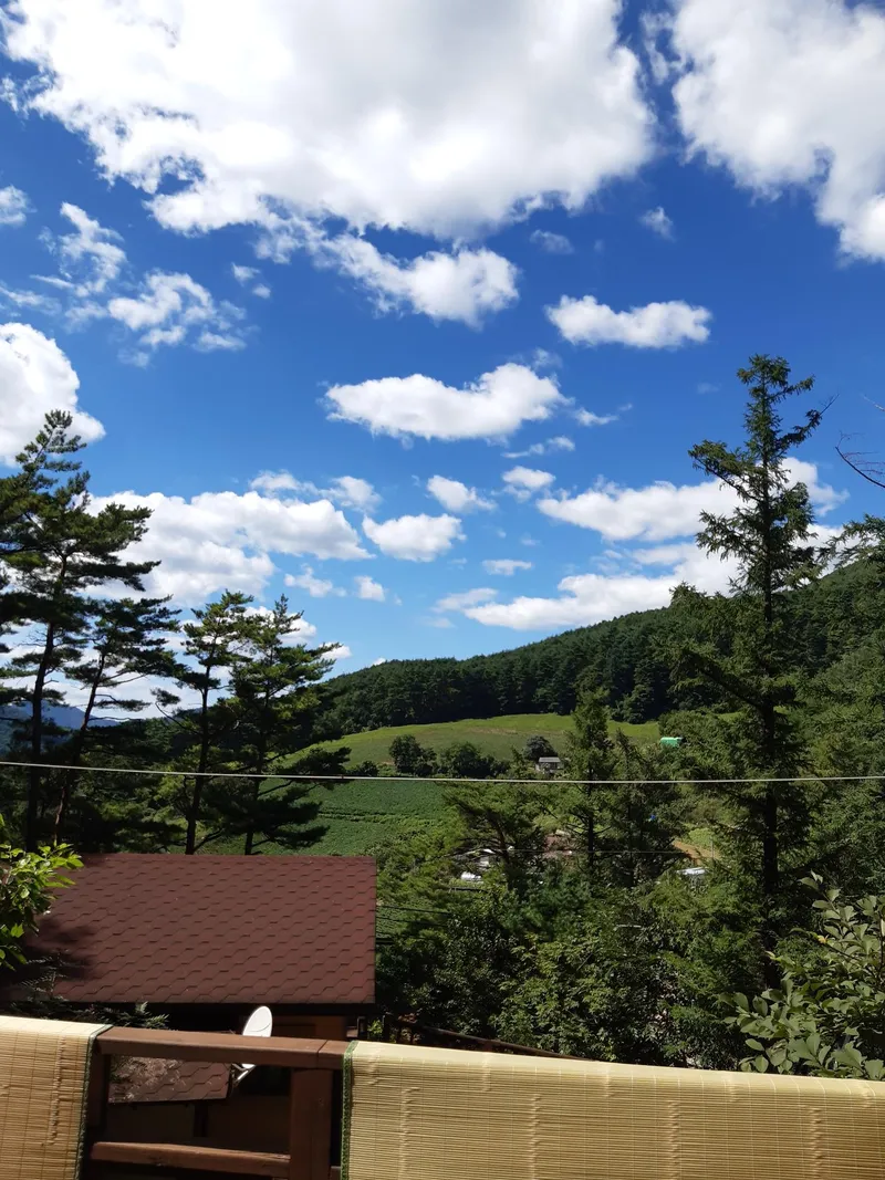 [강원 영월] 태백산로에 위치한 소나무숲 힐링 산장 2