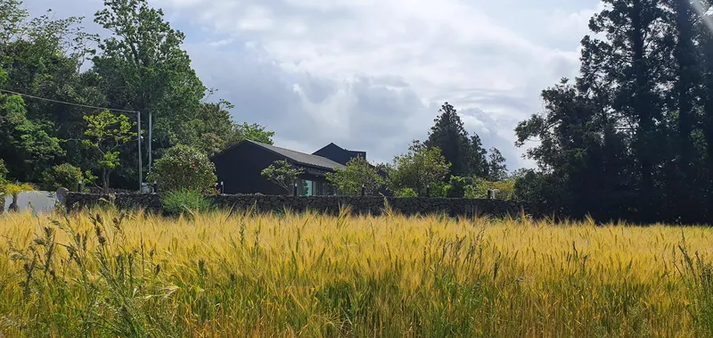 [Hangyeong, Jeju] Cozy stone wall two-room detached house with tangerine field view 49