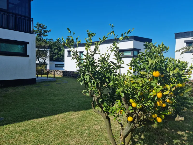 [Hallim, Jeju] Two-room duplex detached house 5 minutes by car from Hyeopjae Beach 39