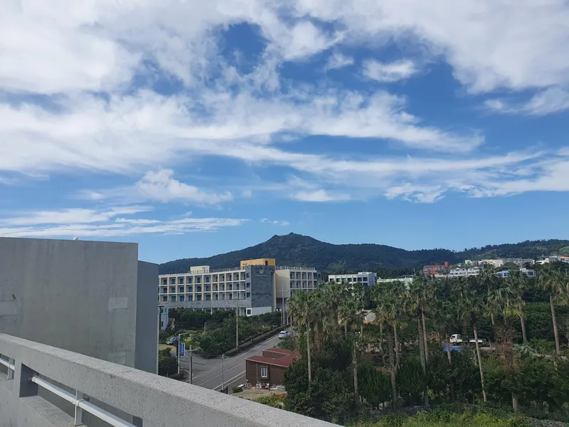 [Haye-dong, Seogwipo] Jeju Workation Place Single Room A #2 min walk to the sea 10