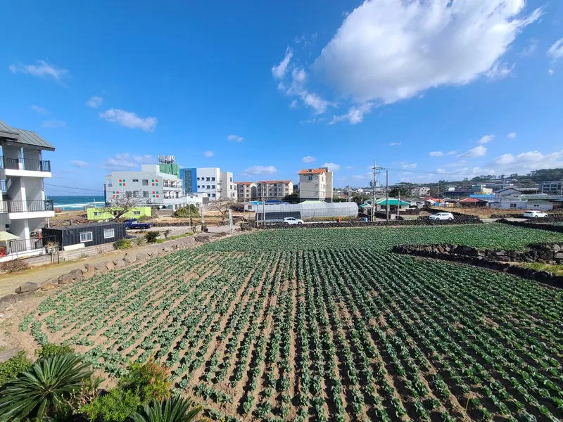 [Aewol, Jeju][Jeju Aewol 203] One-room apartment 1 minute walk from Gwakji Beach #Accessibility #Clean #Comfortable #Cozy 10