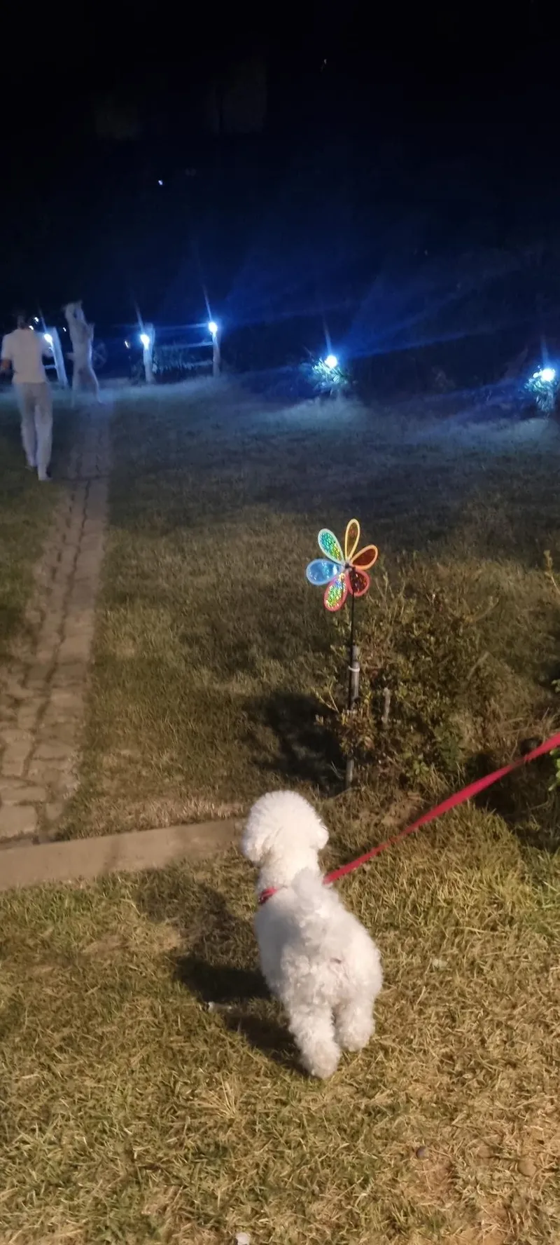 [충남 서산] 반려견과 시골 라이프를 즐길 수 있는 현대식 황토 주택 17