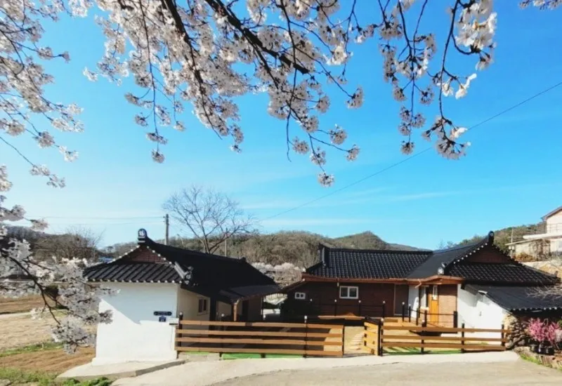 [Yangpyeong] Yangpyeong Sunny’s House Lawn Yard Camping Feeling Independent House 25
