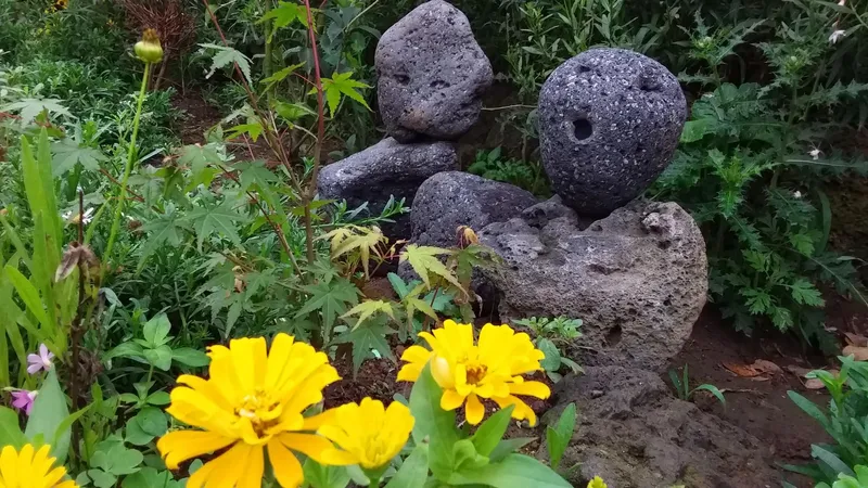 [제주 한경] 조용한 돌담집 투룸 독채 21