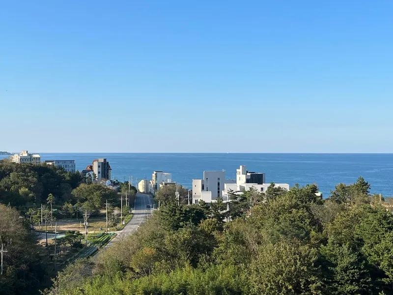 [Gangneung] Ocean view from the penthouse terrace/5 min walk from Sacheonjin Beach/Comfy Gangneung 1 31