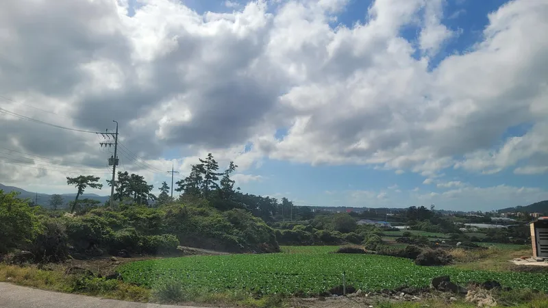 [제주 애월] 해안 절경 오션뷰 한라산 뷰 층고 높고 넓은 옥상뷰 복층 85