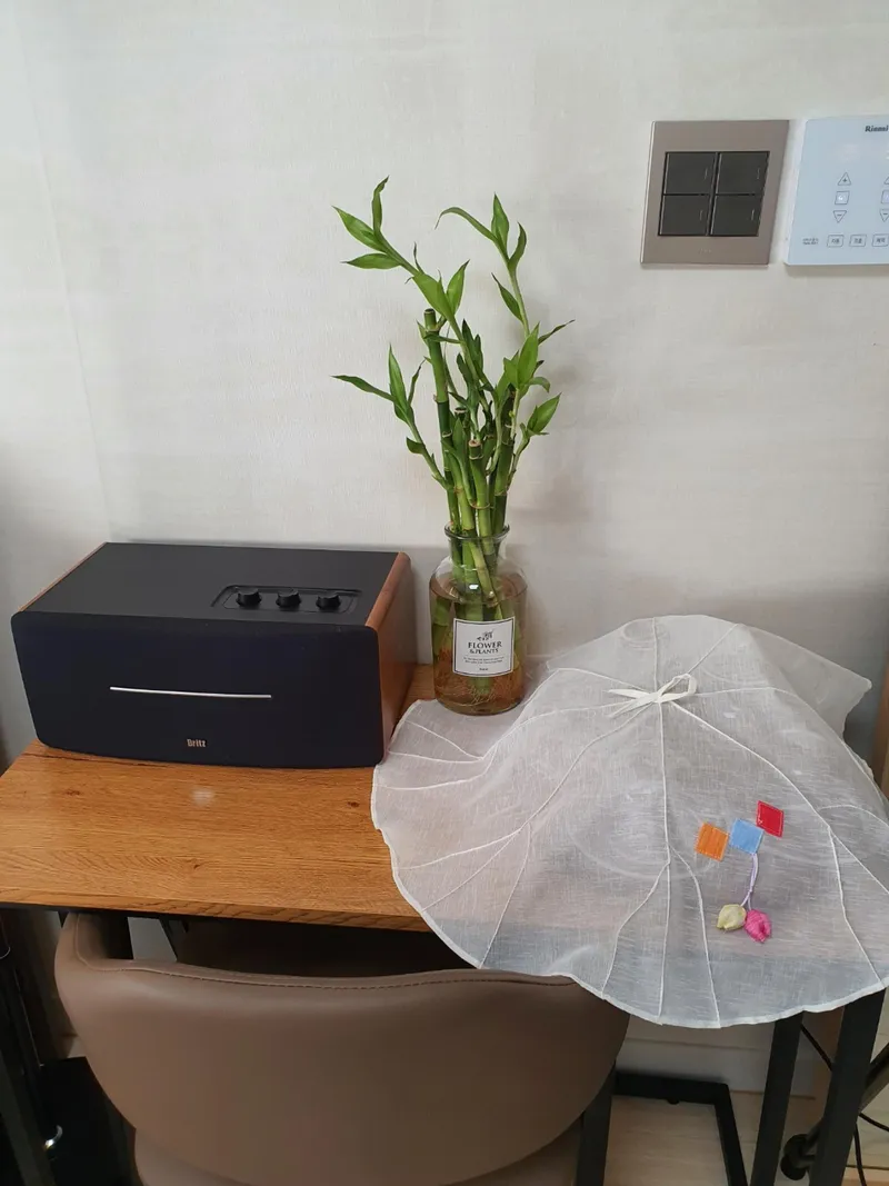 [Yeon-dong, Jeju] Near the airport ★ Beam projector, computer, dryer, coffee machine ★ Utilities included 23