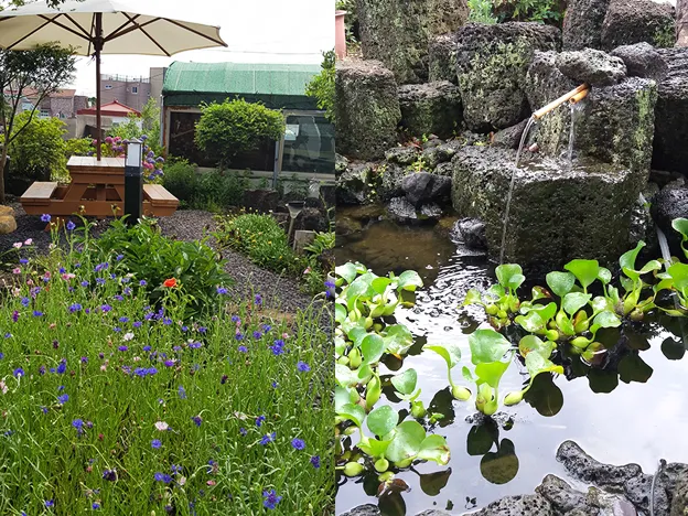 [Gujwa, Jeju][Jeju Gimnyeong] A two-room farmhouse annex near Seongsegi Beach, like a country home, with a good price-to-performance ratio 15