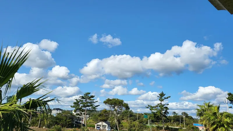 [서귀포 성산][이벤트특가] 신산리 오션 프리미어 통창카페뷰 27
