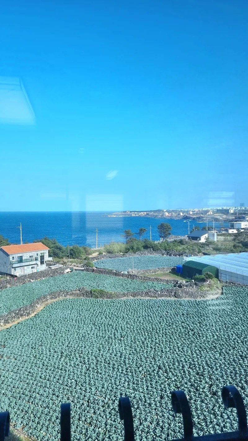 [Aewol, Jeju] Ocean view two-room duplex for workation 24