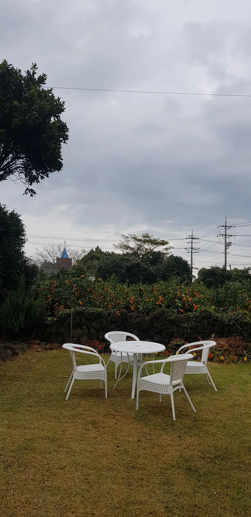 [Seongsan, Seogwipo] Two-room detached house with a large yard full of palm trees #BBQ 31